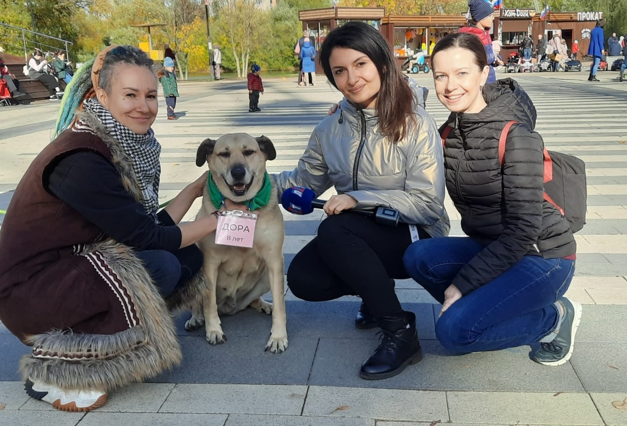 Около 30 кг кормов собрали бездомным животным волонтеры во время акции в  парке Люберец | Администрация городского округа Люберцы Московской области